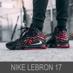 Nike Lebron 17