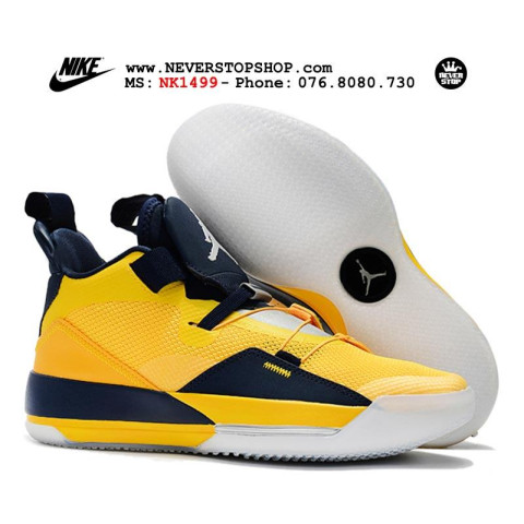 Nike Jordan 33 Michigan