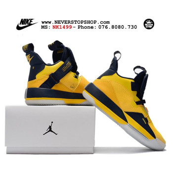 Nike Jordan 33 Michigan