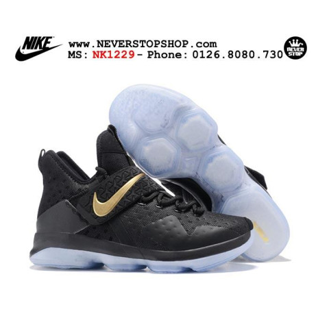 Nike Lebron 14 Black Gold