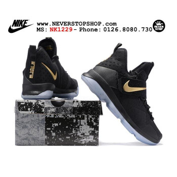 Nike Lebron 14 Black Gold