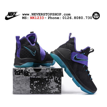 Nike Lebron 14 Black Purple