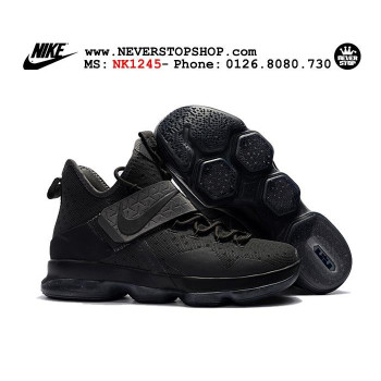 Nike Lebron 14 LMTD All Black