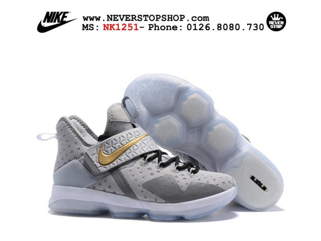 Lebron 14 silver online