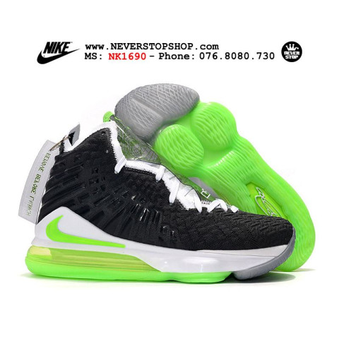 Nike Lebron 17 Dunkman