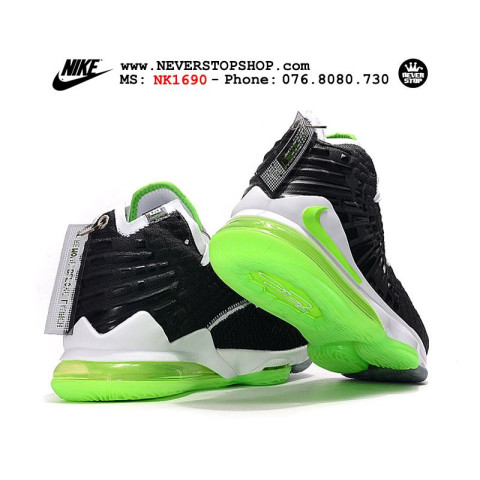 Nike Lebron 17 Dunkman