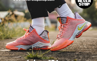 Giày bóng rổ NIKE LEBRON 19 LOW cổ thấp chuyên thể thao hàng đẹp chuẩn giá tốt HCM | NeverStopShop.com