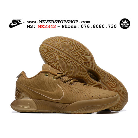 Nike Lebron 21 Brown Gold