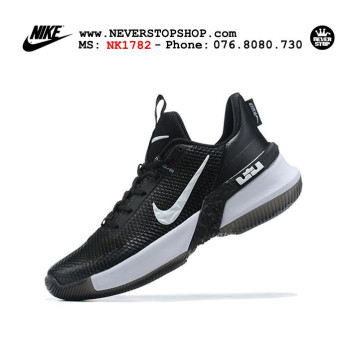  Nike Lebron Ambassador 13 Black White