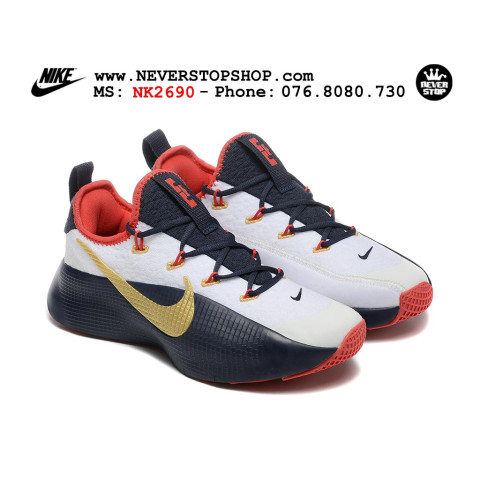 Nike Lebron TR 1 USA Olympic