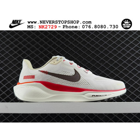 Nike Pegasus 41 CNY Year Of The Snake