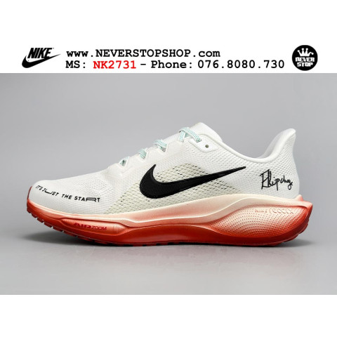 Nike Pegasus 41 Eliud Kipchoge