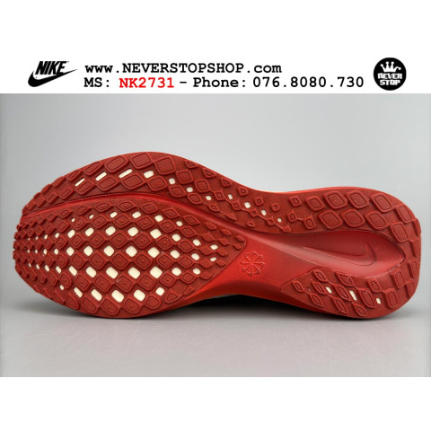 Nike Pegasus 41 Eliud Kipchoge