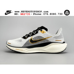 Nike Pegasus 41 Light Smoke Grey