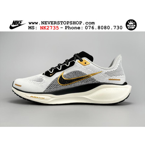 Nike Pegasus 41 Light Smoke Grey