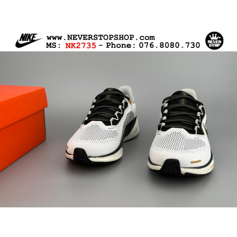Nike Pegasus 41 Light Smoke Grey