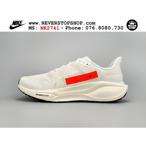 Nike Pegasus 41 Prequel