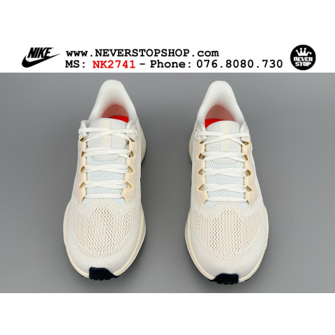 Nike Pegasus 41 Prequel