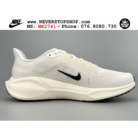 Nike Pegasus 41 Sail Anthracite