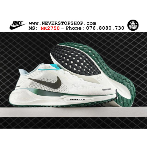 Nike Pegasus 41 White Green