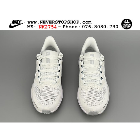Nike Pegasus 41 White Pure Platinum