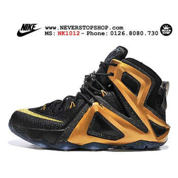 Nike Lebron 12 Elite Black Gold