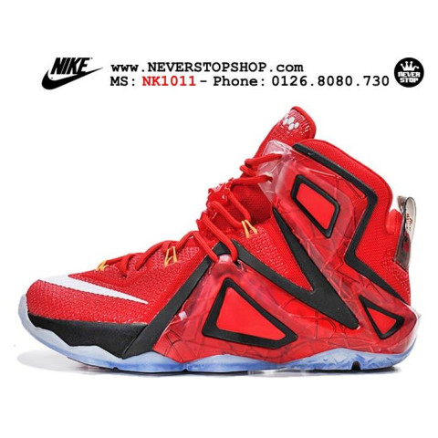 Nike Lebron 12 Elite Team