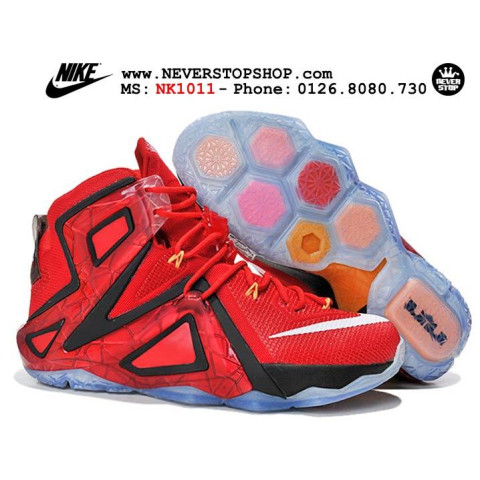 Nike Lebron 12 Elite Team