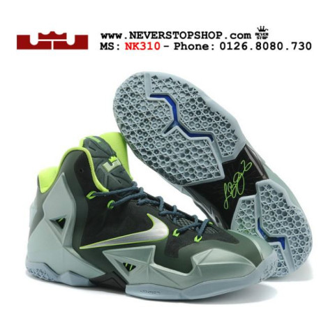 Nike Lebron 11 Dunkman