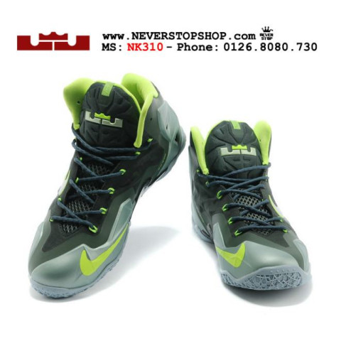 Nike Lebron 11 Dunkman