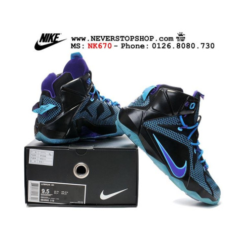 Nike Lebron 12 Black Blue