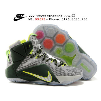 Nike Lebron 12 Dunk Force Grey Dark Green