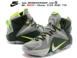 Giày Nike Lebron 12 Dunk Force Grey Dark Green nam nữ hàng chuẩn sfake replica 1:1 real chính hãng giá rẻ tốt nhất tại NeverStopShop.com HCM