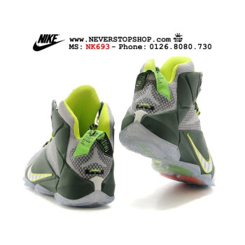 Nike Lebron 12 Dunk Force Grey Dark Green