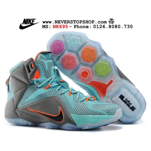 Nike Lebron 12 NSRL