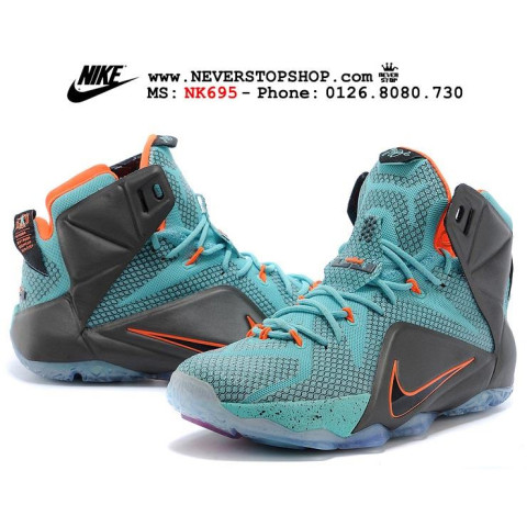 Nike Lebron 12 NSRL