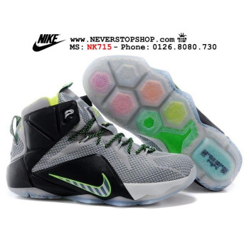 Nike Lebron 12 Dunk Force