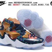 Lebron on sale 13 floral