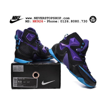 Nike Lebron 13 Black Purple